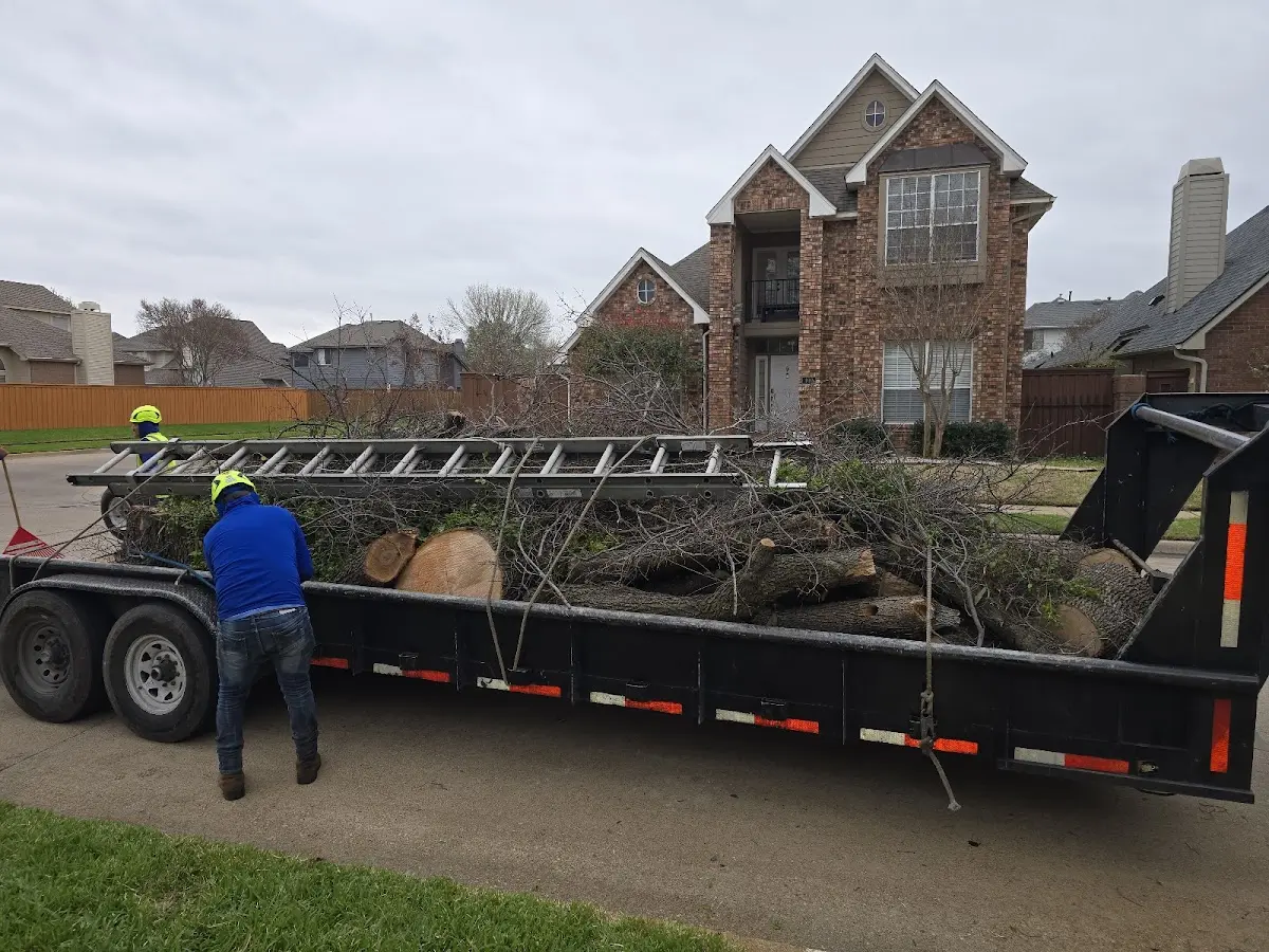 Expert Tree Pest Control with proper safety equipment in Kell
